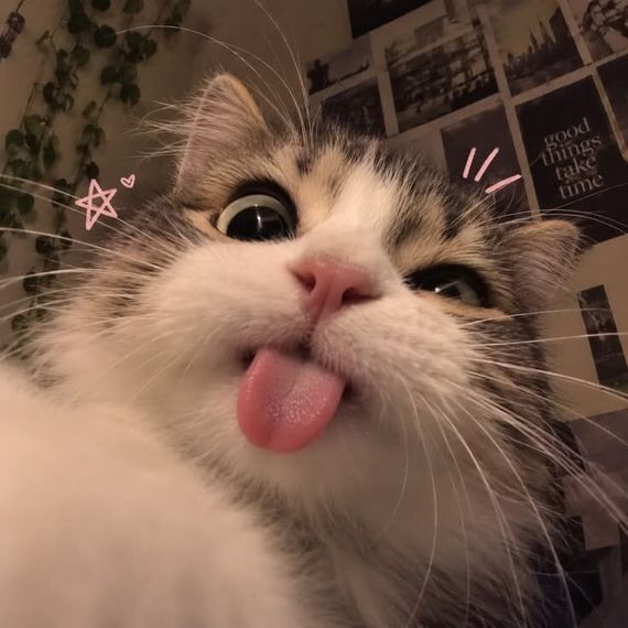 แชท หาเพื่อนคุย  ที่อยู่ กรุงเทพมหานคร