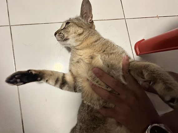 แชท หาเพื่อนคุย ที่อยู่ ปทุมธานี