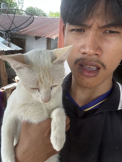 chat looking for friends 