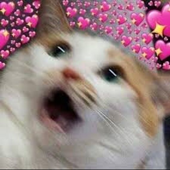 chat looking for friends 