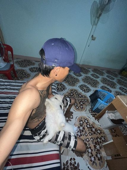chat chat 