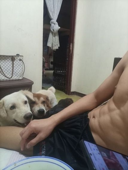 chat looking for friends