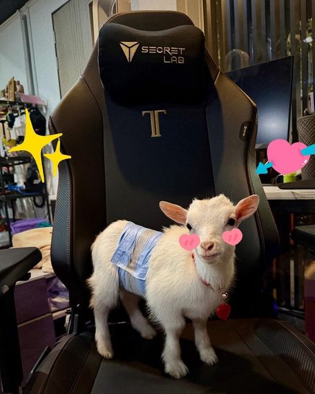 chat looking for friends 