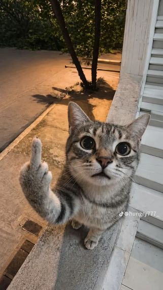 แชท หาเพื่อนคุย, หากิ๊ก