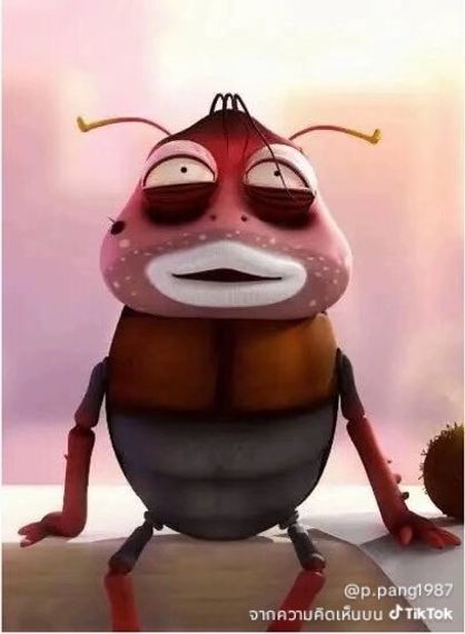 chat looking for friends 