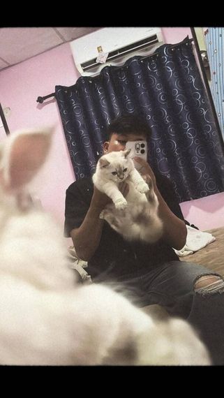 chat looking for friends from Bangkok