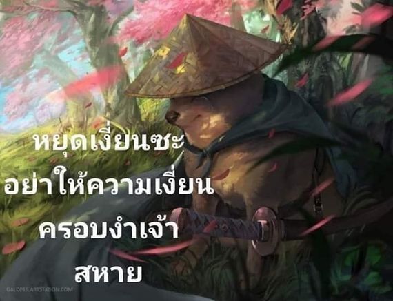แชท แชทเปิดกล้อง, นัดเดท