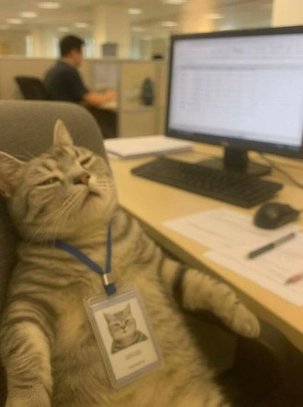 chat single  from Bangkok