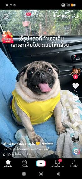 chat find love, chat  from Bangkok