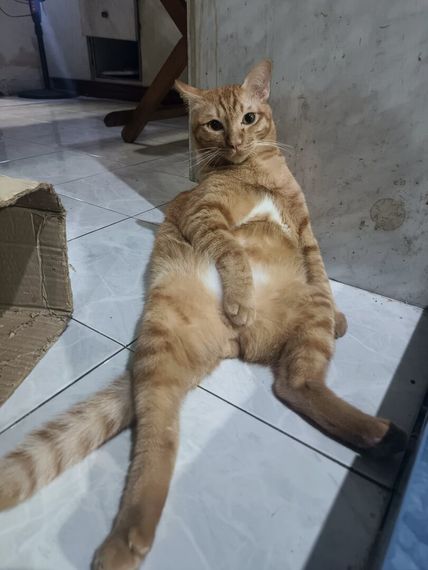 chat looking for friends 