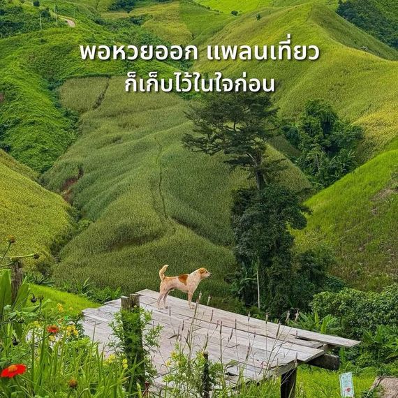 แชท หาเพื่อนคุย, หาเพื่อนเที่ยว 