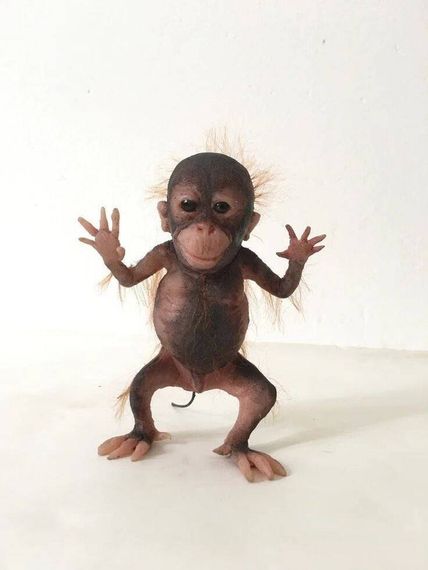 แชท หาเพื่อนคุย, หาเพื่อนเที่ยว 