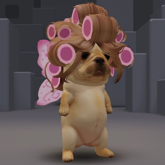 chat looking for friends 