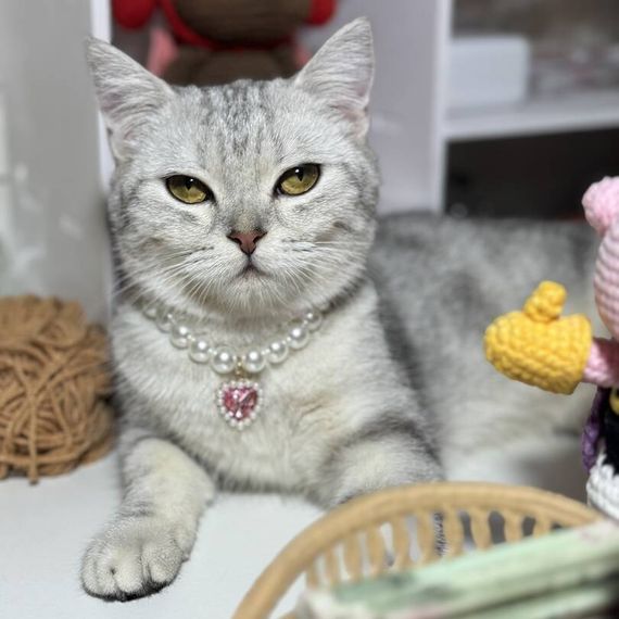 แชท หาเพื่อนคุย, หาเพื่อนเที่ยว 