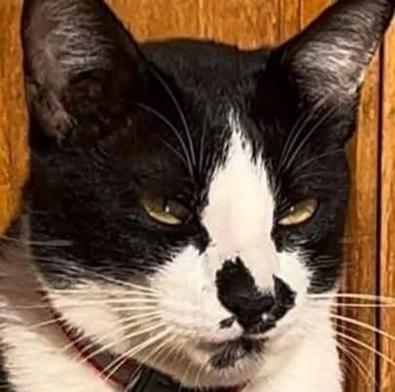 แชท หาแฟน  ที่อยู่  มหาสารคาม