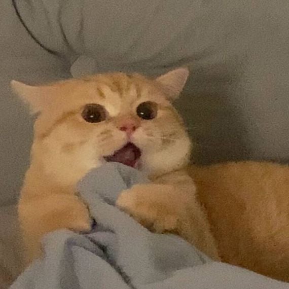 แชท หาเพื่อนคุย, หาเพื่อนไลน์