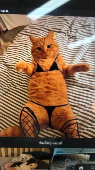 chat chat