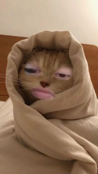 chat looking for friends 