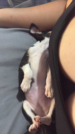 แชท หาแฟน, หาเพื่อนคุย 