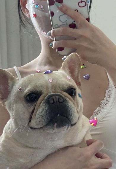 chat looking for friends 