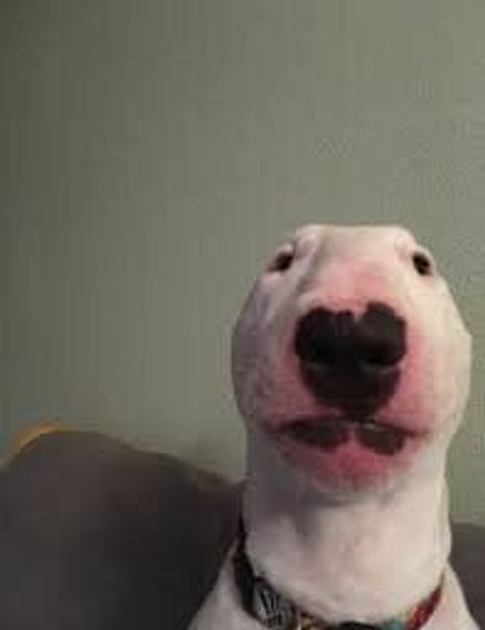 chat looking for friends 