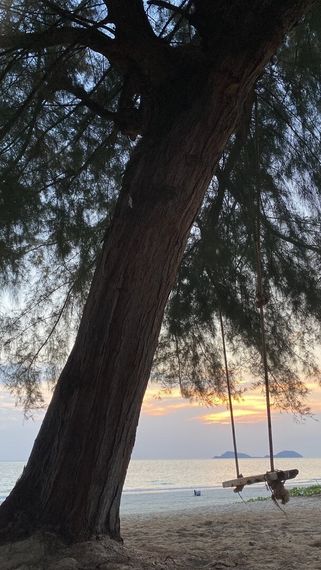 แชท หาเพื่อนคุย, หาเพื่อนไลน์ 
