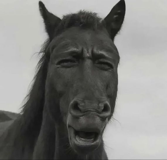 แชท หาเพื่อนคุย, โสด 