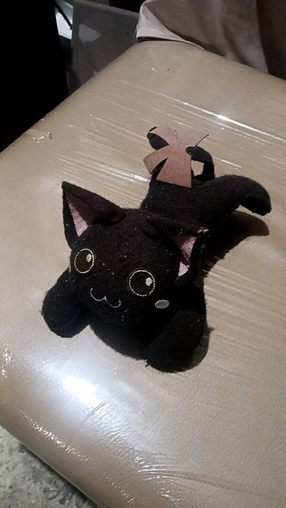 chat looking for friends 