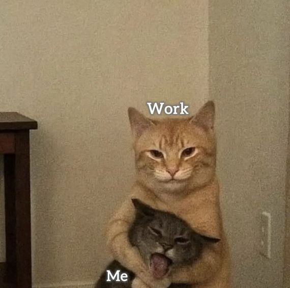 chat looking for friends 